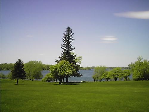 Barnhart Island Picnic Area